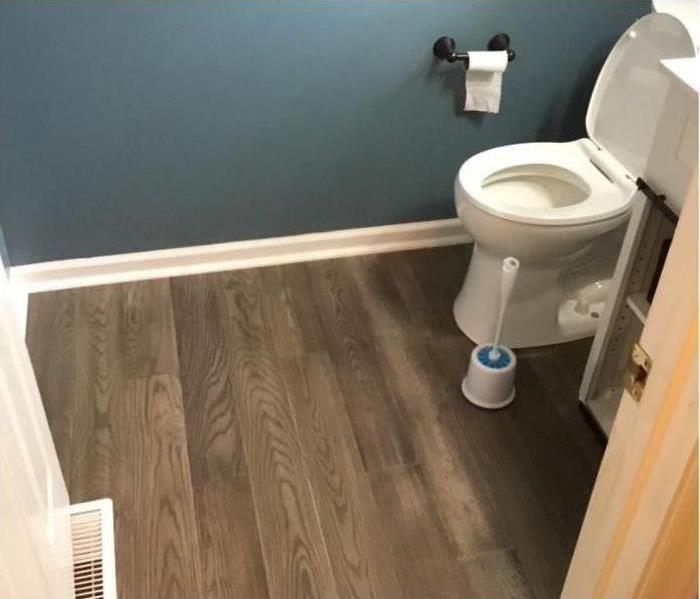 brown wood flooring and blue color walls with a white toilet in the background. 