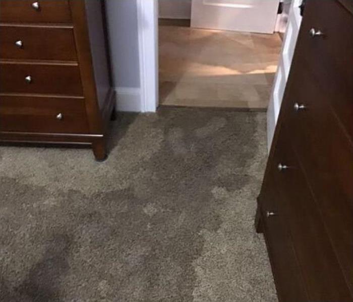 wet grey carpet with water stain and a brown sleigh bed to the left and dresser to the left leading out to the hallway.